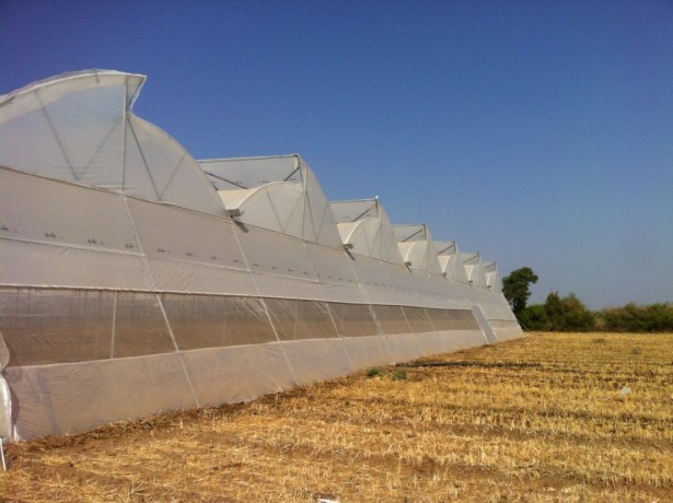 agricultural-greenhouse-accessories-big-0